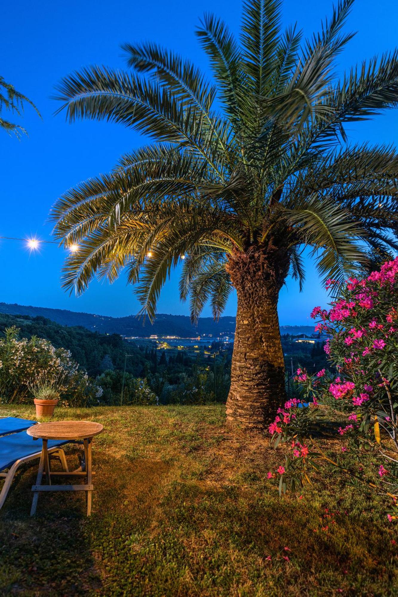 House Olive Garden Strunjan Apartment Exterior photo